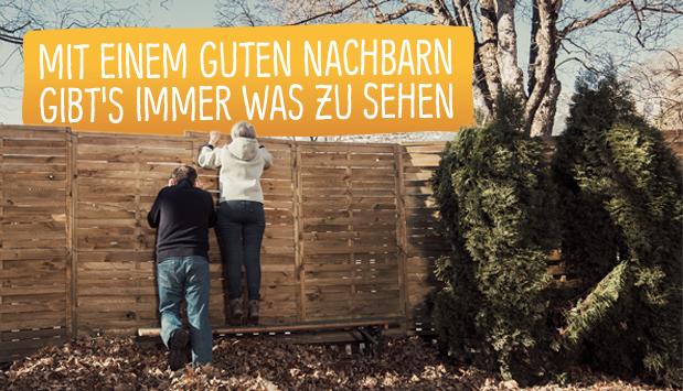 Bild: placeit Bild: placeit